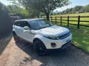 LAND ROVER Range Rover Evoque Range Rover Evoque Pure SD4 Auto